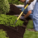 Compost