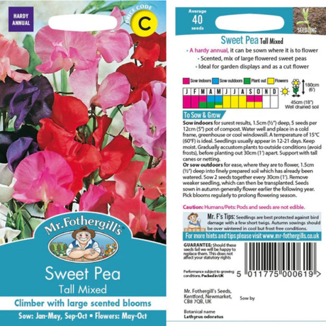 Sweet Pea Flower Seeds - Dandys Landscape Supplies