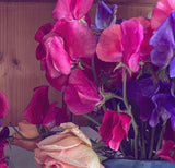 Sweet Pea Parfume Millennium