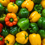 Sweet Pepper Seeds - Colour spectrum - Dandys Landscape Supplies