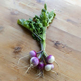 Turnip Plug Plants - "Grow Your Own" Vegetables **Letterbox Friendly** - Dandys Landscape Supplies