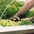 Allotment Pack Special Offer - Topsoil, Compost, Grit and Membrane! - Dandy's Topsoil & Landscape Supplies