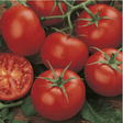 Vegetable Seeds - Dandys Landscape Supplies