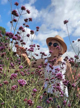 Verbena bonariensis - Dandys Landscape Supplies