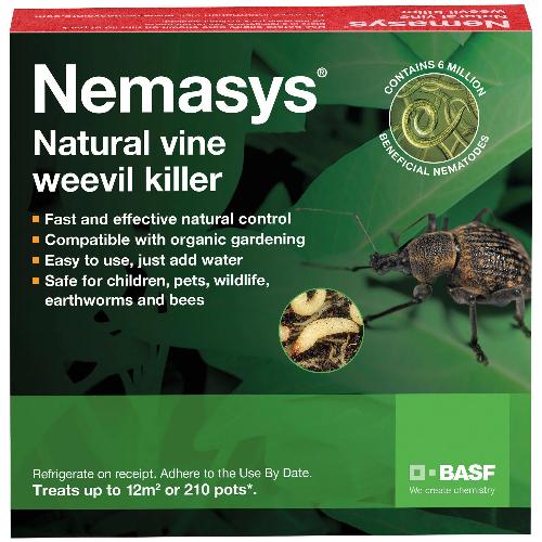 Vine Weevil Control - Nematodes - Dandys Landscape Supplies