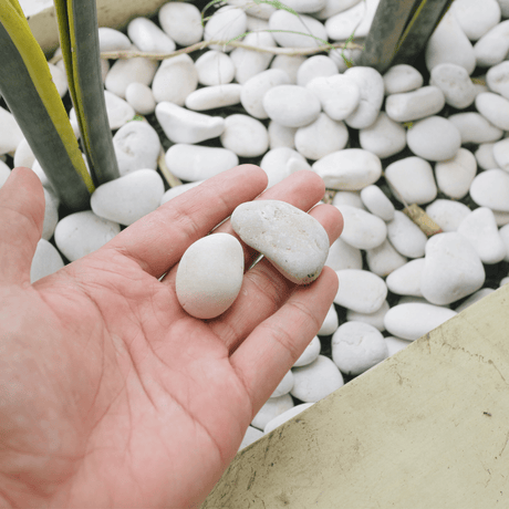 WhiteMarblePebbles20-40mm 