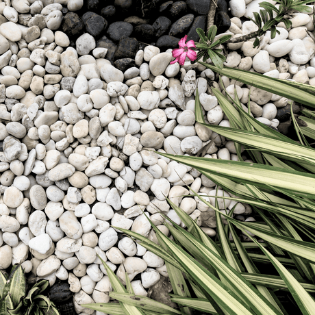 WhiteMarblePebbles20-40mm 