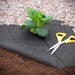 Allotment Pack Special Offer! Topsoil, Compost, Grit and Membrane! | Dandys 