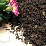 Composted Mulch Fines | Dandys 