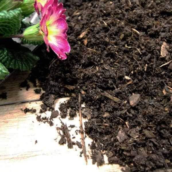 Composted Mulch Fines.