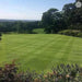 Fine Lawn Grass Seed | Dandys 