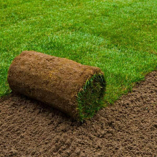Garden Lawn Turf.