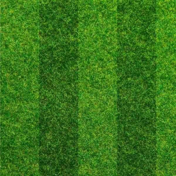 Garden Lawn Turf.
