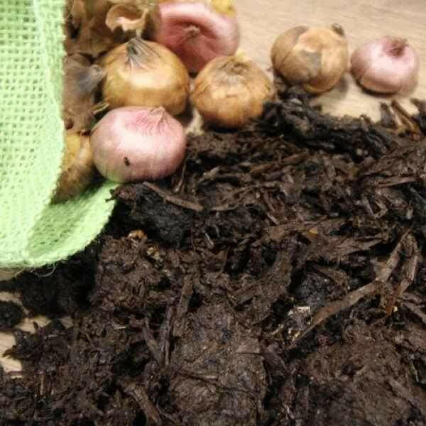 Horse and Chicken Manure / Mushroom Compost | Dandys 