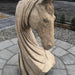 Horse Head Wood Carving Sculpture | Dandys 