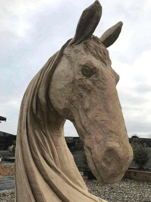 Horse Head Wood Carving Sculpture | Dandys 
