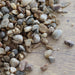 Dandy's Alpine Grit | Topsoil & Landscape Supplies.