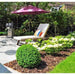 Landscaping Garden Bark Mulch | Dandys 