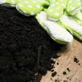 Multi Purpose Compost | Dandys 