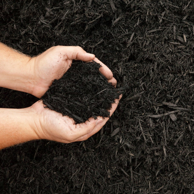 Multi Purpose Compost 20mm screened compost