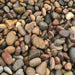 Scottish Pebbles 20 - 30mm Bulk Bag.